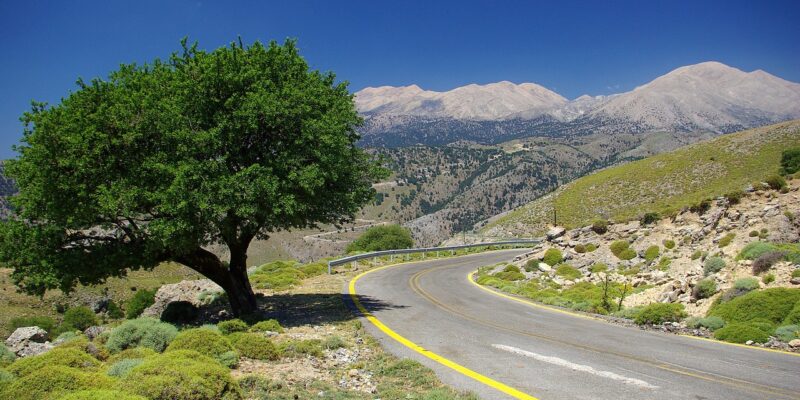 Trinkgeld für Taxi