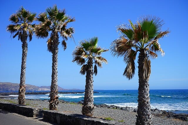 Playa de los Cristianos Playa de los Cristianos