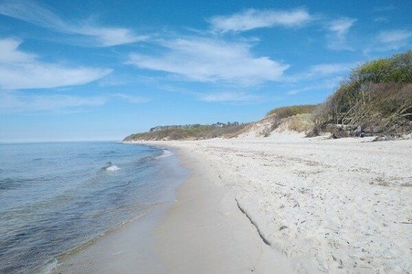 Sind Hunde am Weststrand Darß erlaubt? Sind Hunde am Weststrand Darß erlaubt?