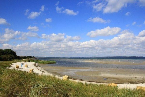 Eignet sich der Laboe Strand mit Hunden zu besuchen? Eignet sich der Laboe Strand mit Hunden zu besuchen?