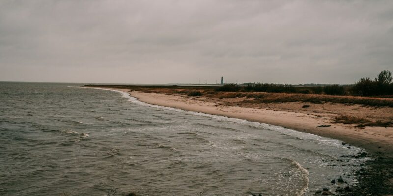 Hundestrand an der Knock von Emden