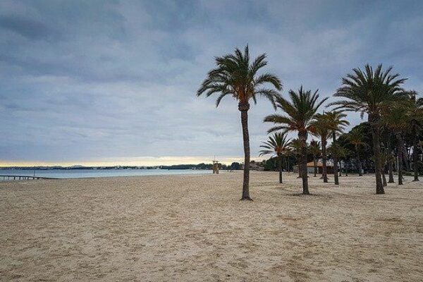 Was gibt es an der Strandpromenade von Alcudia? Was gibt es an der Strandpromenade von Alcudia?