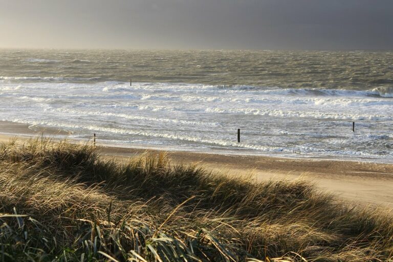 Domburg Strand