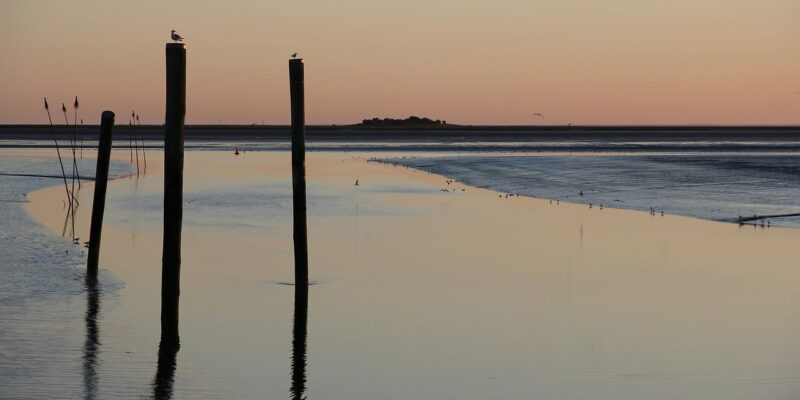 Welcher Husum Strand ist der schönste an der Nordsee?