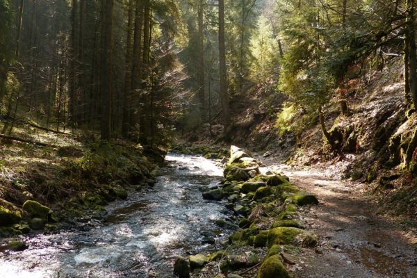 Wandern in der Schlucht Wandern in der Schlucht