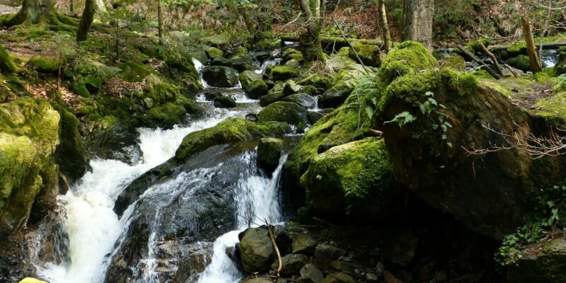 Erlebe die Ravennaschlucht