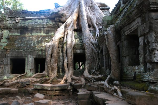 Wieso ist die Tempelanlage von Angkor Wat verlassen worden? Wieso ist die Tempelanlage von Angkor Wat verlassen worden?