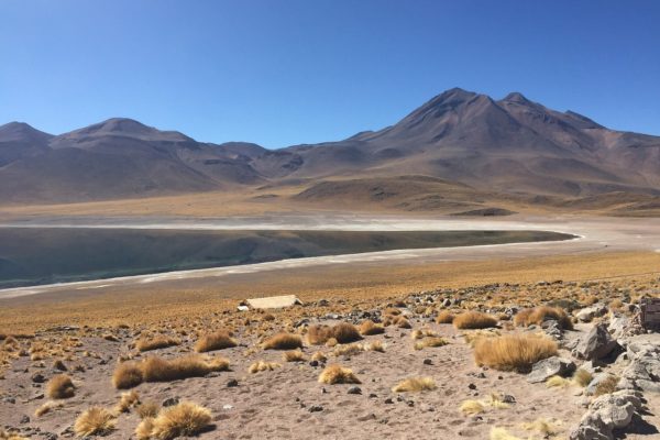 Lagunen und Salzseen der Atacama Lagunen und Salzseen der Atacama