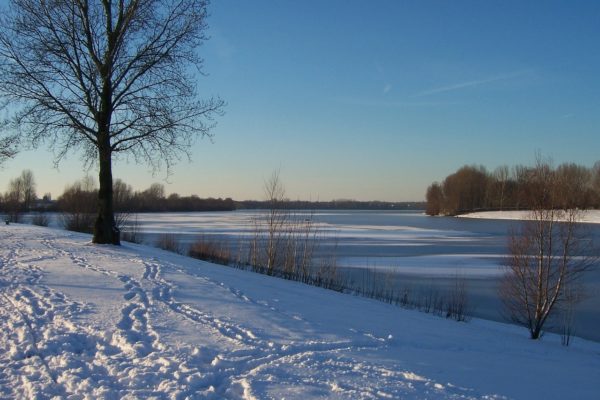 Auesee Auesee