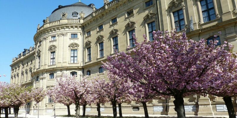 Wann beginnt die erste Kirschblüte in Deutschland zu wachsen?
