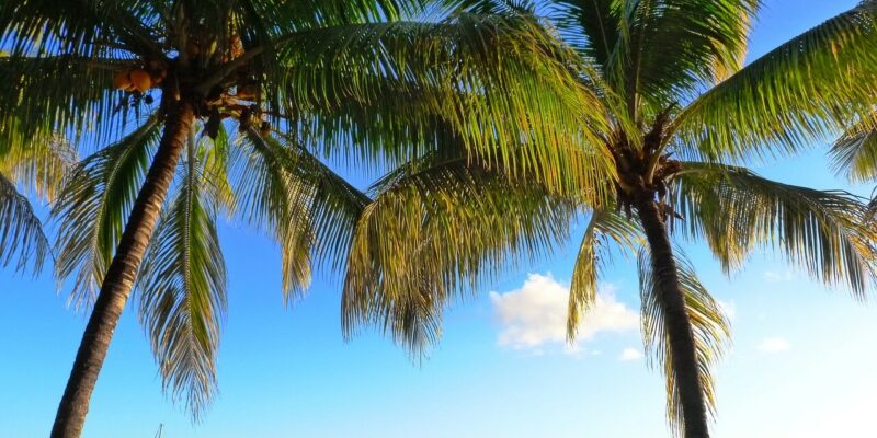 Wetter, Klima, Temperatur & Regenzeit und Infos