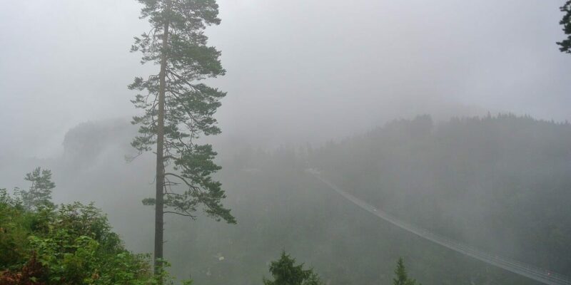 Wo gibt es in Deutschland einzigartige Hängebrücken?