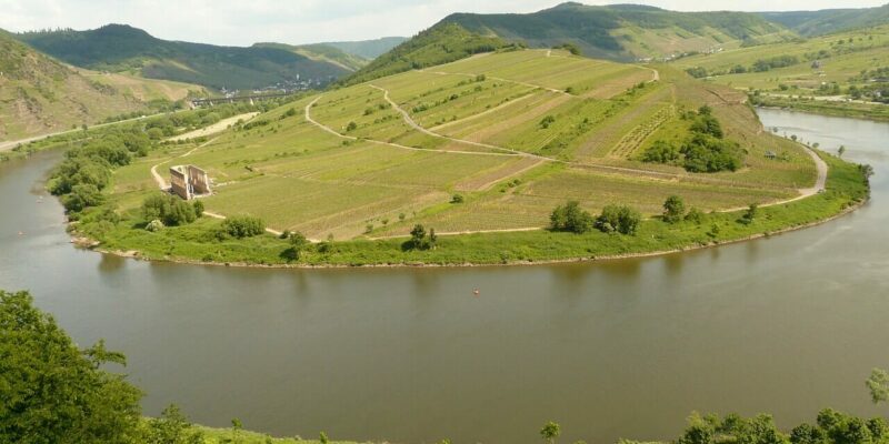 Am Moselschleife Bremm Wandern