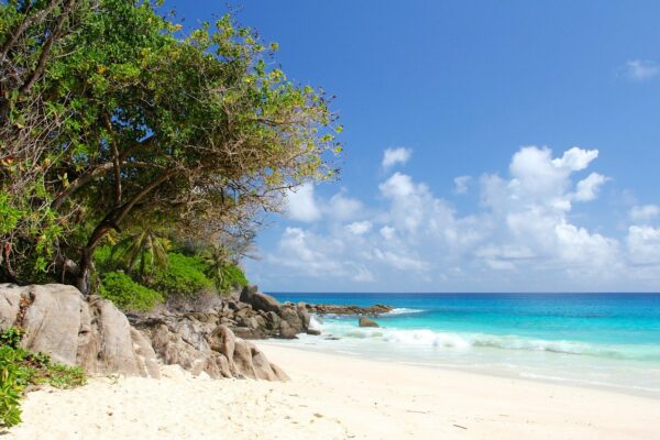 Wie lange fliegt man zu den Seychellen? Wie lange fliegt man zu den Seychellen?