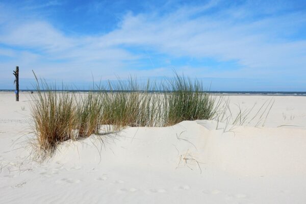 Baltrum Baltrum