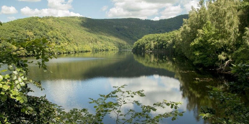 Nationalpark Eifel Nationalpark Eifel