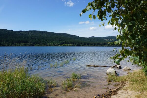 Schluchsee Schluchsee