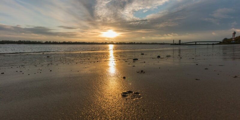 Was kann man am Strand machen?