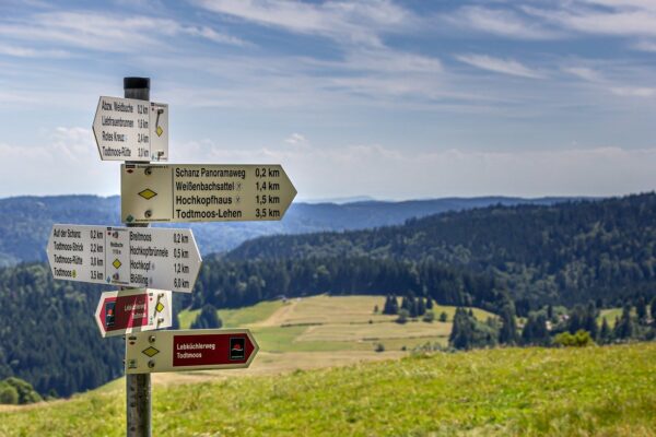 Welche Schwarzwald Ausflugsziele kann man mit dem Hund erleben? Welche Schwarzwald Ausflugsziele kann man mit dem Hund erleben?