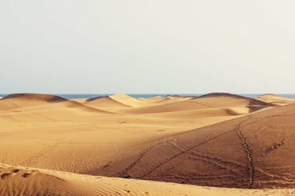 Gran Canaria Gran Canaria