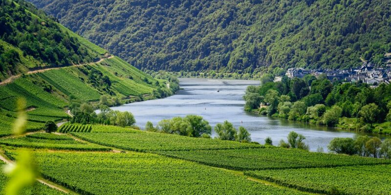 Mosel Weinregion