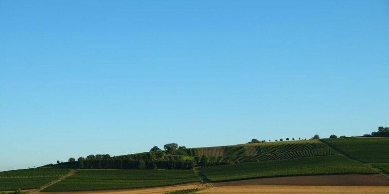 Rheinhessen Weinbaugebiet