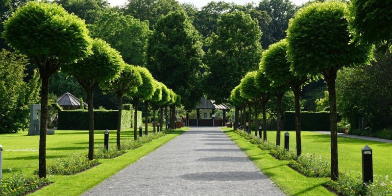 Botanischer Garten Botanischer Garten
