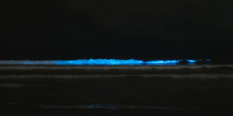 Das glitzernde Meer auf den schönen Malediven sehen