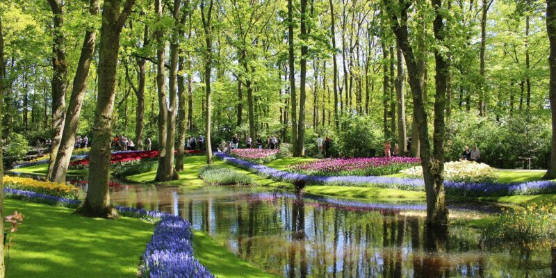 Keukenhof Keukenhof