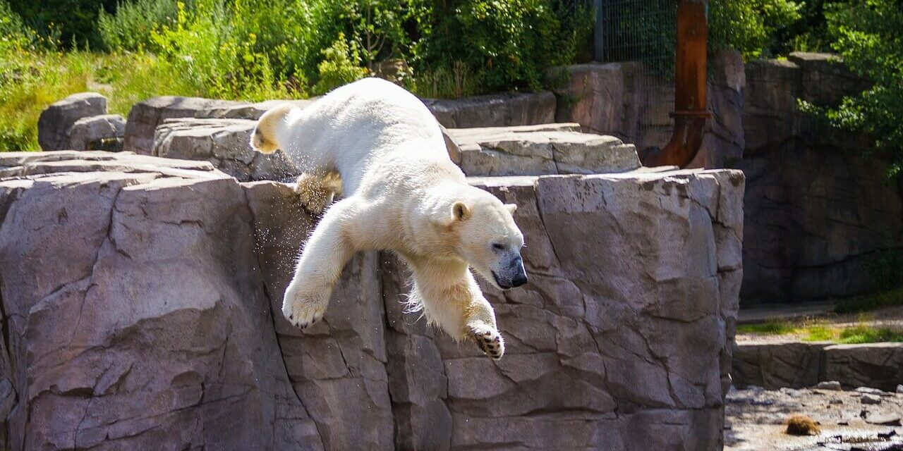 Erlebnis Zoo Hannover