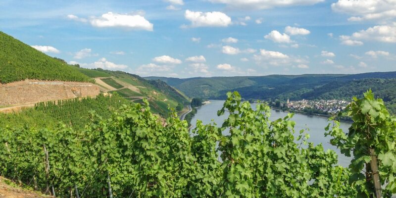 Boppard Boppard