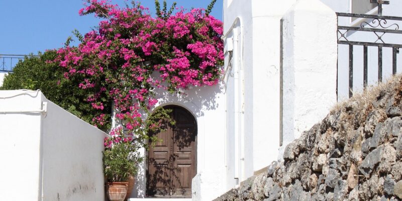 Weißes Haus mit blauer Tür und Bougainvillea auf einer griechischen Insel Klassische griechische Inselarchitektur mit weiß getünchter Wand, dunkler Holztür mit Rundbogen, üppig blühender pinker Bougainvillea und Natursteinmauer im Sommerlicht