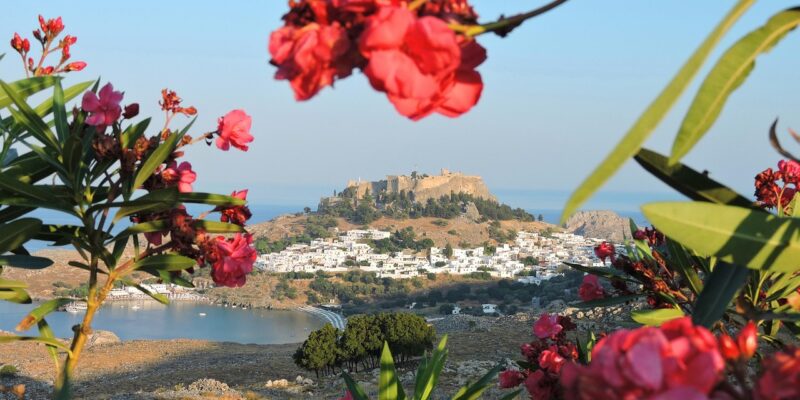 Blick auf die Akropolis von Lindos auf Rhodos mit Oleander Blick auf das weiße Dorf Lindos auf Rhodos mit der antiken Akropolis auf dem Felsen darüber, gerahmt von rot blühendem Oleander im Vordergrund, im Hintergrund die Bucht von Lindos und das Mittelmeer