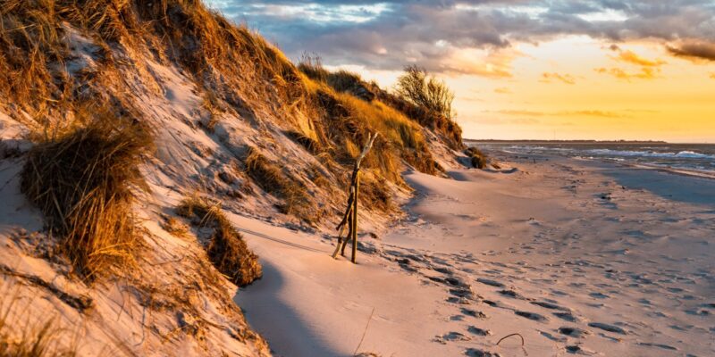 weststrand-darss-duene-sonnenuntergang-strandhafer Düne mit goldgelbem Strandhafer am Weststrand auf dem Darß im warmen Licht des Sonnenuntergangs, Sandstrand mit Fußspuren und ruhige Ostsee am Horizont