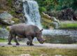 Safariparks Deutschland