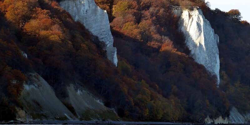 Der Nationalpark Jasmund bietet eine Herbstlandschaft an einer felsigen Küste, wo weiße Kreidefelsen teilweise von dichtem, buntem Laub bedeckt sind. Das ruhige Meer spiegelt die Klippen und Bäume und schafft eine heitere Atmosphäre unter einem klaren Himmel.