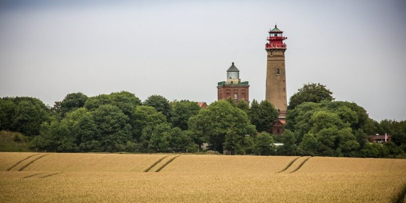 Ein hoher Schinkelturm-Leuchtturm mit einer roten Spitze steht umgeben von grünen Bäumen. Vor dem Leuchtturm erstreckt sich ein weites Feld aus goldenem Weizen. Der Himmel ist bedeckt und schafft eine heitere und friedliche ländliche Landschaft.