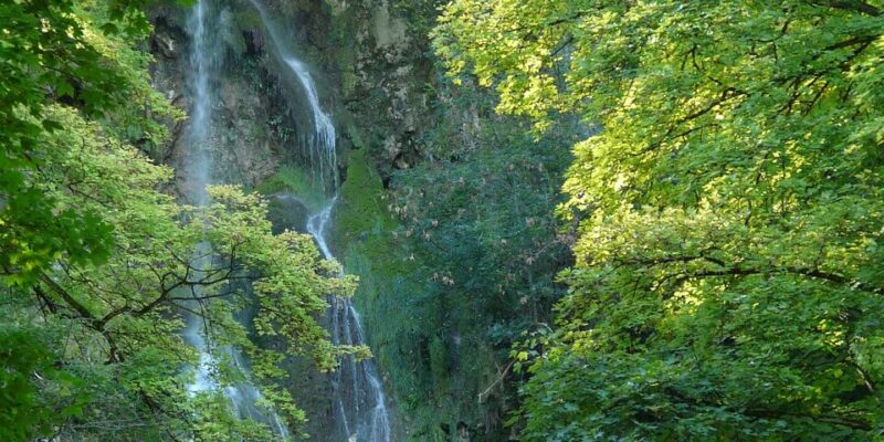 Ein ruhiger Wasserfall, der an den Uracher Wasserfall auf der Schwäbischen Alb erinnert, stürzt eine moosbedeckte Klippe hinab, umgeben von üppigem Grün und Bäumen. Sonnenlicht fällt durch die Blätter und verleiht dieser ruhigen, naturnahen Szene einen sanften Glanz.