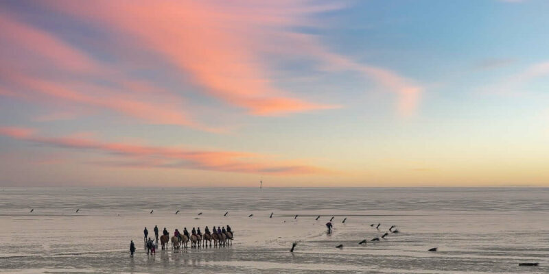 In der Ferne reitet eine Gruppe von Menschen auf Pferden über eine weite, spiegelnde Salzebene am ruhigen Wattenmeer der Nordsee. Darüber ist der Himmel in leuchtenden Pastelltönen aus Rosa, Orange und Blau bemalt und schafft eine surreale Landschaft.