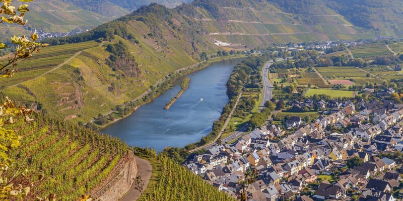 Blick über die Moselschleife bei Bremm mit steilen Weinbergen am Calmont und dem Winzerdorf am Flussufer.