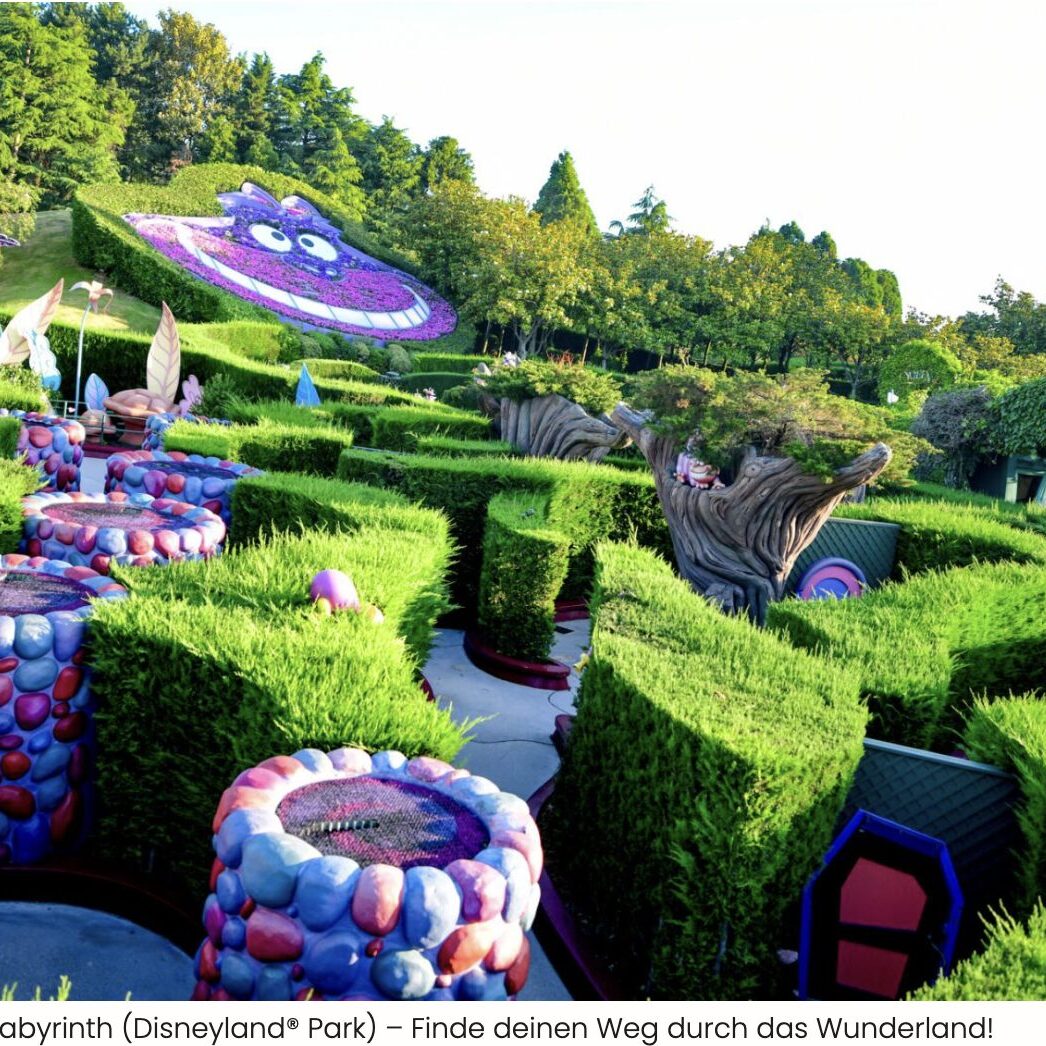 Alice's Curious Labyrinth