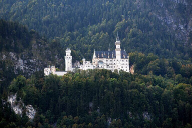 Das malerische Schloss Neuschwanstein liegt auf einem üppig bewaldeten Hügel und besticht durch zahlreiche Türme und Türmchen vor einer Bergkulisse. Umgeben von dichten grünen Bäumen unterstreicht der klare Himmel diese ruhige, märchenhafte Kulisse, die typisch für Burgen und Schlösser in Deutschland ist.