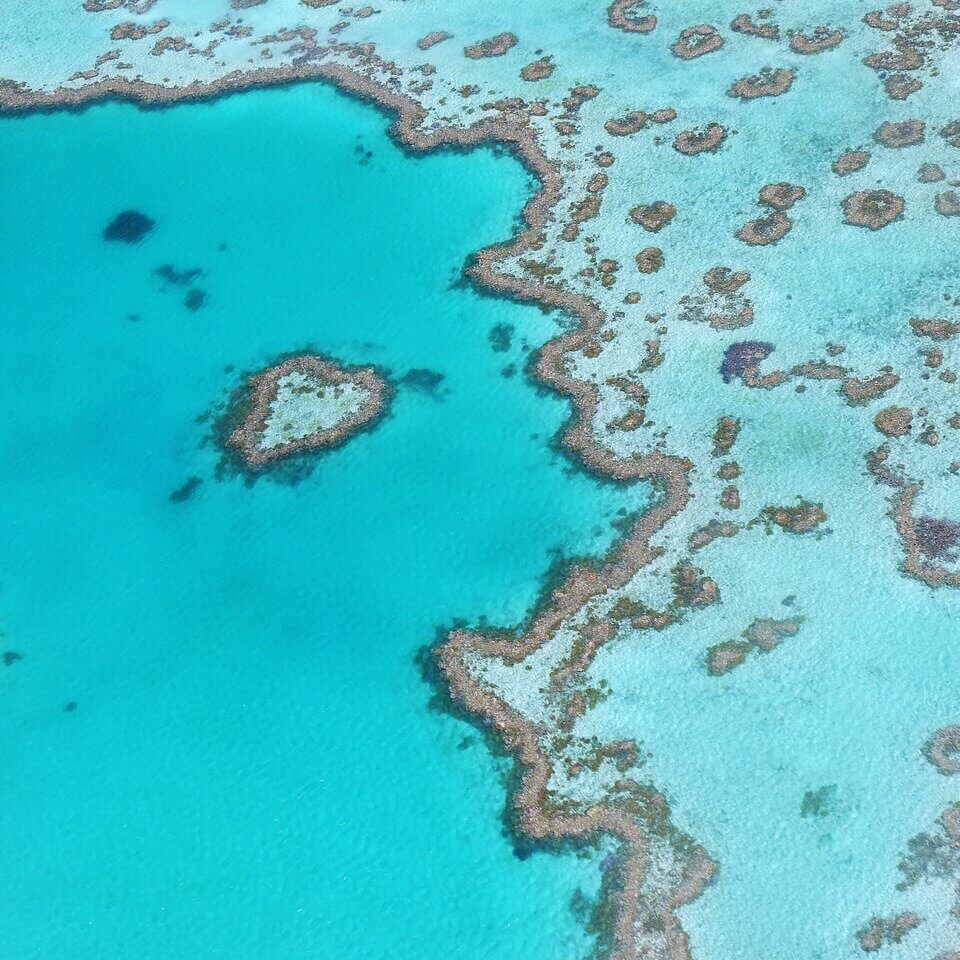 Great Barrier Reef: Luftaufnahme des weltweit größten Korallenriffs mit türkisfarbenem Wasser und vielfältigen Korallenformationen.