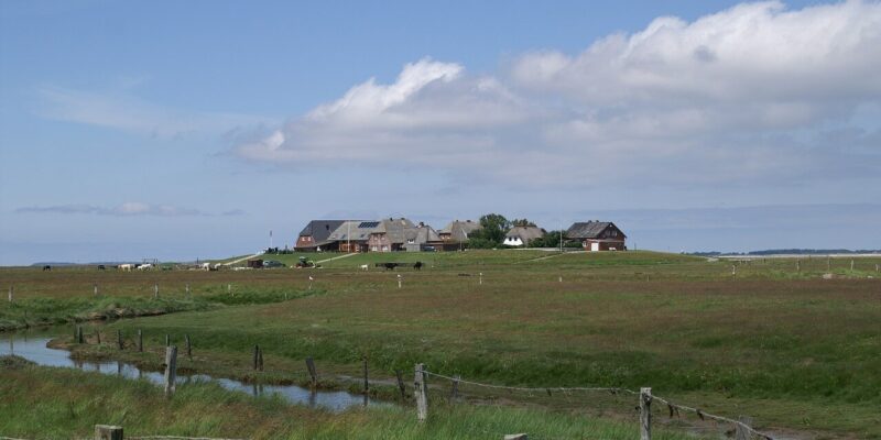 Eine ländliche Landschaft, die an Die Halligen an der Nordsee erinnert, zeigt eine Ansammlung von Häusern auf einem kleinen Hügel, umgeben von offenen Grasfeldern. Ein Holzzaun und ein schmaler Bach schlängeln sich durch den Vordergrund, unter einem blauen Himmel mit vereinzelten Wolken.