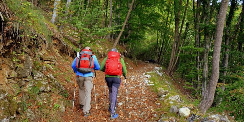 Fernwanderwege in Mecklenburg-Vorpommern Zwei Wanderer mit bunten Jacken und roten Rucksäcken auf einem schmalen Waldweg, umgeben von dichten, grünen Bäumen und Laub.