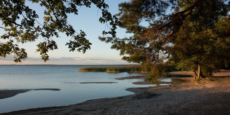 Graal-Müritz Strand Ein ruhiger Abend am Graal-Müritz Strand offenbart einen Sandstrand, ruhiges Wasser und Bäume, die die Aussicht elegant einrahmen. Der Himmel strahlt ein sanftes Leuchten aus, während in der Ferne Schilf am Wasserrand sanft wiegt.