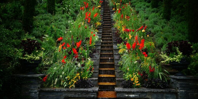 Eine Steintreppe auf der Insel Mainau führt bergauf durch üppiges Grün und leuchtende Blumen, darunter auch große rote Blüten. Die Stufen sind von farbenfrohen Pflanzen gesäumt und ein Brunnen am Fuße der Treppe verleiht der Szenerie eine ruhige Note.
