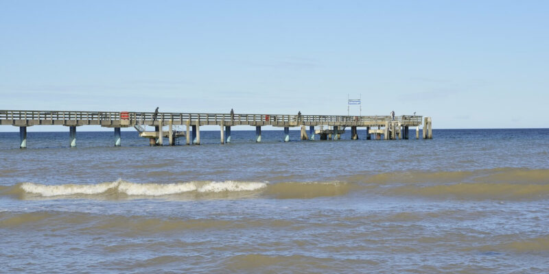 Strand von Boltenhagen Ein Holzsteg ragt unter klarem Himmel in das ruhige, blaue Wasser des Ozeans am Strand von Boltenhagen. Kleine Wellen rollen auf das Ufer zu und auf dem Steg sind ein paar Menschen zu sehen. Diese ruhige Szene fängt einen hellen, sonnigen Tag an diesem bezaubernden Ort am Meer ein.
