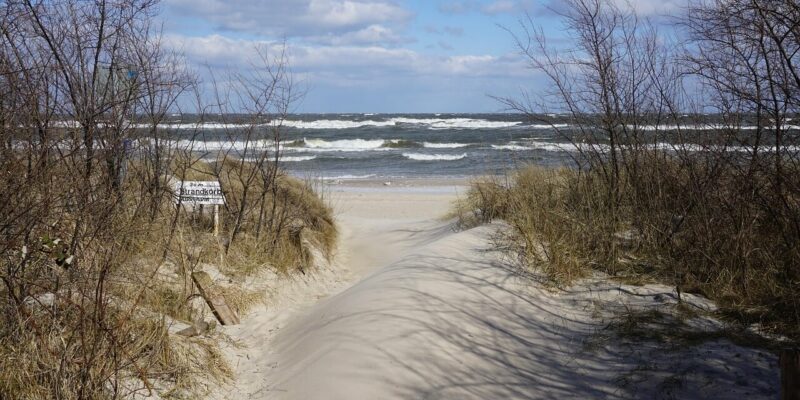 Usedom Strände Ein Sandweg schlängelt sich durch Dünengräser zu einem windgepeitschten Strand an den Usedom-Stränden, mit Wellen unter blauem Himmel. Links ist ein Schild mit Text zu sehen, eingerahmt von spärlich stehenden Bäumen und Sträuchern.