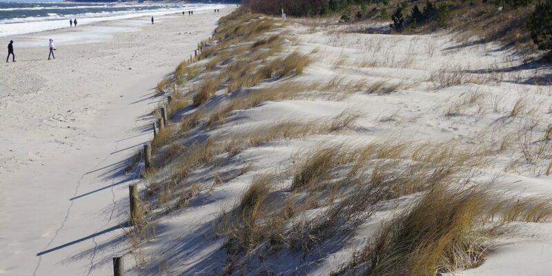 Zinnowitz Strand Der Zinnowitz Strand ist ein Sandstrand mit grasbewachsenen Dünen, die sich entlang der Küste erstrecken. Mehrere Menschen schlendern am Wasser entlang, während sich der klare Himmel in den sanften Meereswellen spiegelt. Im Hintergrund säumen Bäume diese ruhige Strandlandschaft.